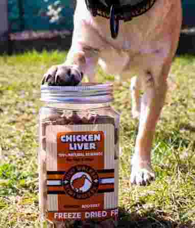 KIWI WALKER Chicken Liver, Freeze-dried treat, 115 g