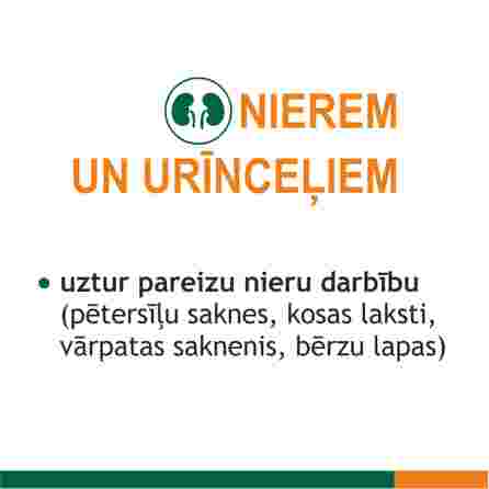 FITOLIZYNA   Nefrocaps Plus kapsulas, 30 gab.