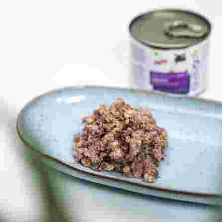PRINS NatureCare Diet Cat Struvite &Calciumoxalate влажный корм, 200 г