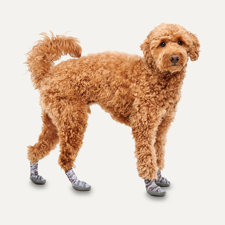 GOO-EEZ Basic, Snowcamo, L dog boots, 2 pcs.