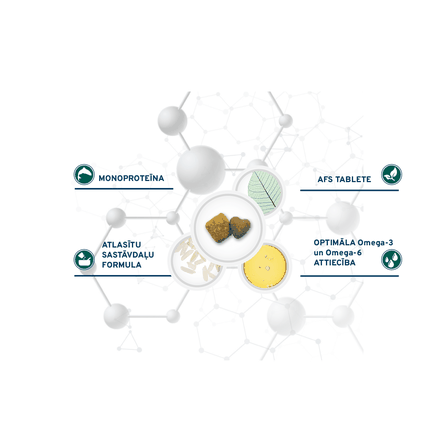 FORZA10 Active Vetdiet Echo, Suņiem sausā barība, 4 kg