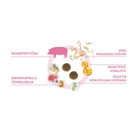 FORZA10 Monodiet Mini Adult Ar Cūku Un Kartupeļiem, Suņiem sausā barība, 1.5 kg