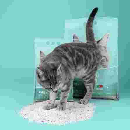 WEEGO Care+ цементирующий песок для кошек, 5 Л