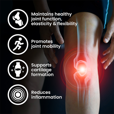VPLAB GLUCOSAMINE & CHONDROITIN & MSM таблетки, 90 шт.
