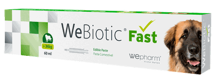 WEPHARM WeBiotic Fast paste, 60 ml