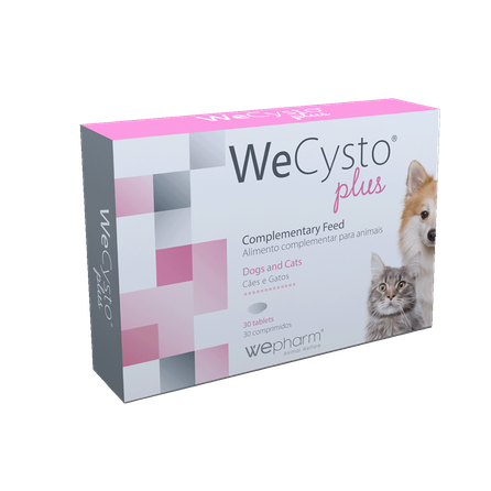 WEPHARM WeCysto Plus таблетки, 30 шт.