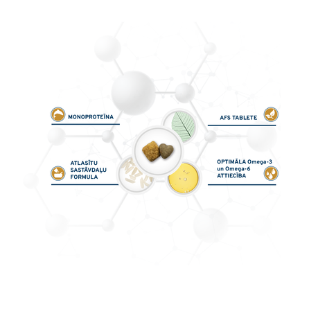 Active VetDiet Urinary dry food, 10 kg