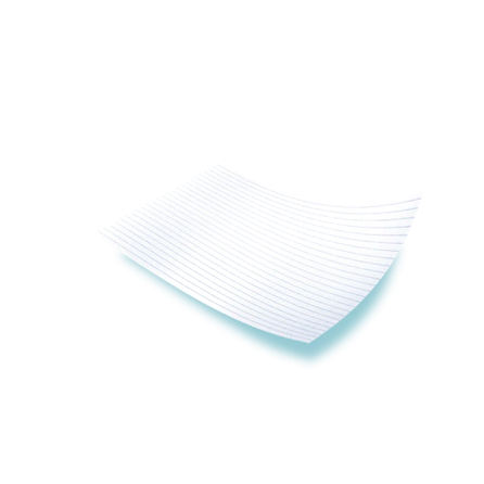 TENA Hygiene Sheet 210x80 cm sheets, 1 pcs.