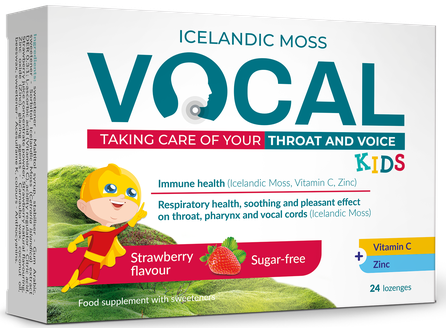 VOCAL  KIDS со вкусом клубники жевательные пастилки, 24 шт.
