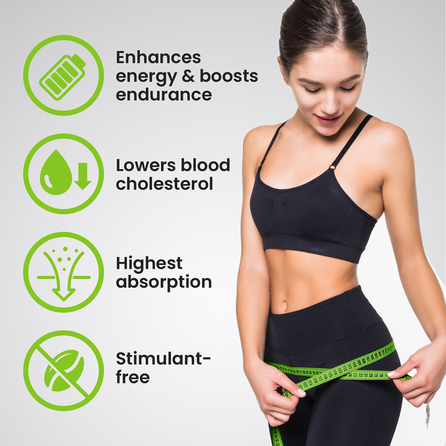 VPLAB  l-Carnitine Со Вкусом Тропических Фруктов концентрат, 500 мл