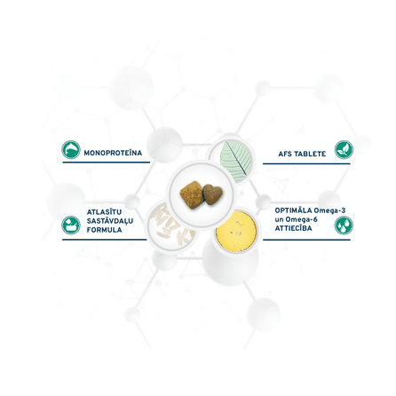 FORZA10 Active Vetdiet Diabetic, Suņiem sausā barība, 1.5 kg