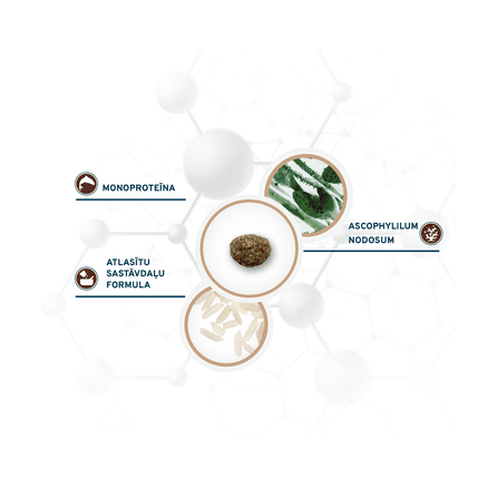 Active Vetdiet Intestinal Colon Phase 1 Mini/Toy, для собак сухой корм, 1.5 кг