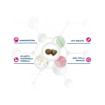 FORZA10 Active Vetdiet Cat Intestinal, Kaķiem sausā barība, 1.5 kg