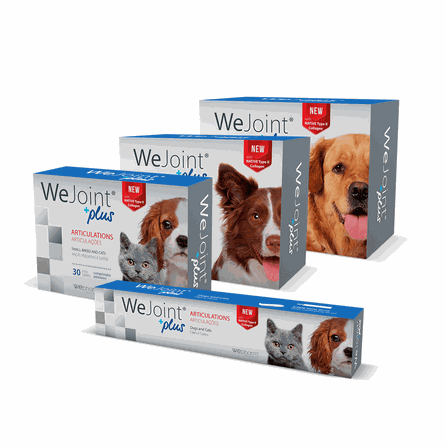 WEPHARM WeJoint Plus paste, 30 ml