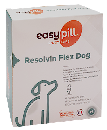 EASYPILL Resolvin Flex lozenges, 168 g