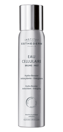 INSTITUT ESTHEDERM Brume-Mist спрей, 200 мл