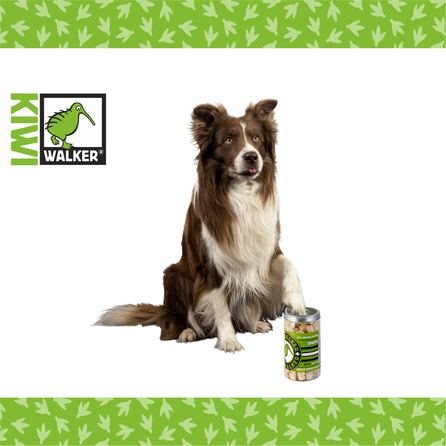 KIWI WALKER Duck, Freeze-dried treat, 115 g