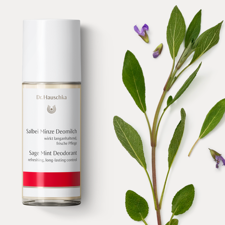 DR.HAUSCHKA Sage Mint deodorant roll, 50 ml
