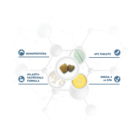 FORZA10 Active Vetdiet Adult Condro, Suņiem sausā barība, 10 kg