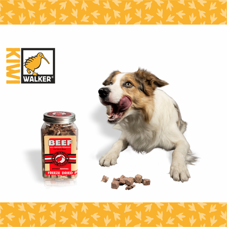 KIWI WALKER Beef, Freeze-dried treat, 45 g