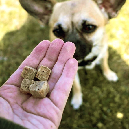 KIWI WALKER Duck, Freeze-dried treat, 80 g