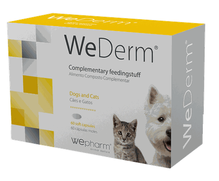 WEPHARM WeDerm softgel capsules, 60 pcs.