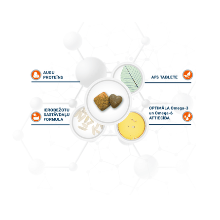 FORZA10 Active Vetdiet Renal, Suņiem sausā barība, 4 kg