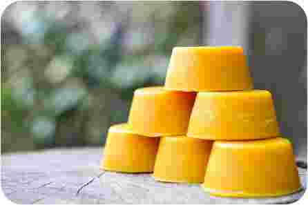 EVIJA - BITE Beeswax ointment, 10 g