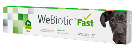 WEPHARM WeBiotic Fast paste, 30 ml