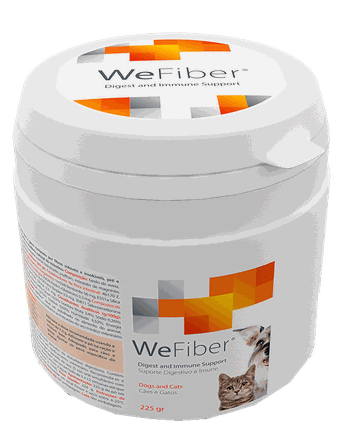 WEPHARM WeFiber powder, 225 g