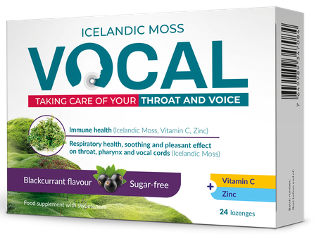 VOCAL  Blackcurrant pastilas, 24 gab.