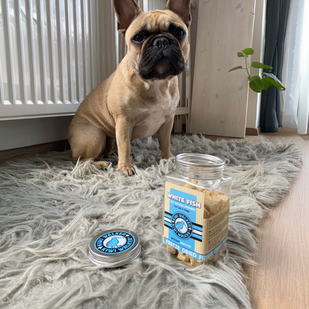 KIWI WALKER Сублимированные лакомства – Целая рыба дополнительный корм, 70 г