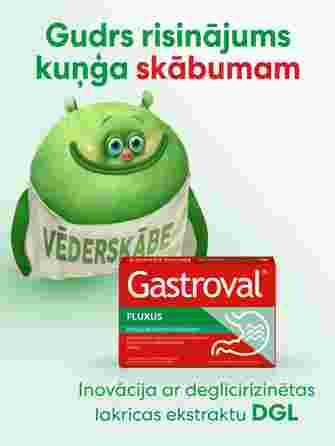 GASTROVAL Fluxus capsules, 15 pcs.