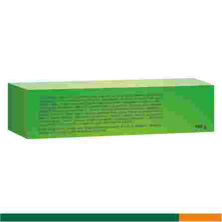 FITOLIZYN paste, 100 g