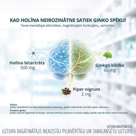 DEMATSYT CHOLINE kapsulas, 30 gab.