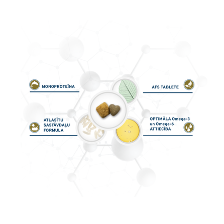 FORZA10 Active Vetdiet Periaction, Suņiem sausā barība, 10 kg