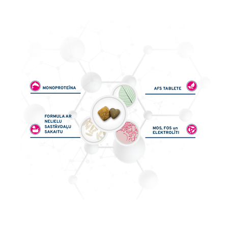 FORZA10 Active Vetdiet Intestinal, Suņiem sausā barība, 10 kg