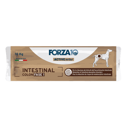FORZA10 Active Vetdiet Intestinal Colon Fase 1, Suņiem sausā barība, 10 kg