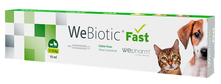 WEPHARM WeBiotic Fast paste, 15 ml