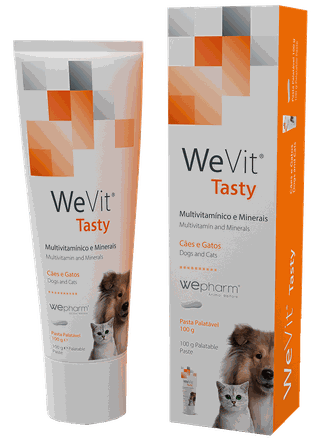 WEPHARM WeVit паста, 100 г