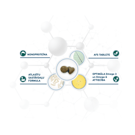 FORZA10 Active Vetdiet Echo Mini/Toy, Suņiem sausā barība, 1.5 kg