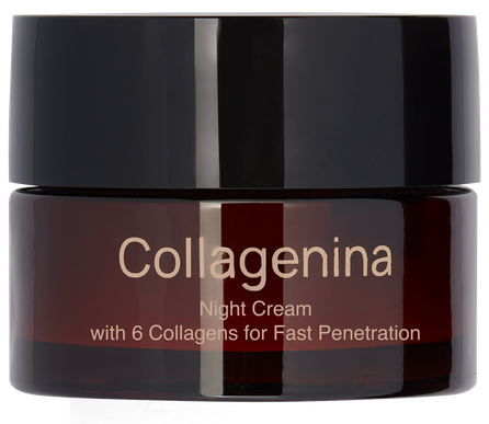 COLLAGENINA With 6 Collagens, Grade 2, Night face cream, 50 ml