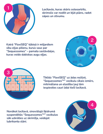 FLEXISEQ  For Joint Wear & Tear ziede, 50 g
