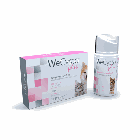 WEPHARM WeCysto Plus gel, 50 ml