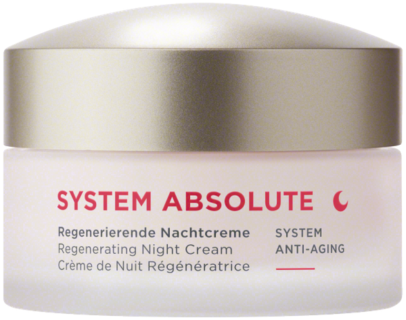 ANNEMARIE BORLIND System Absolute Regenerating Night face cream, 50 ml