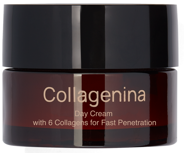 COLLAGENINA With 6 Collagens, Grade 3, Day sejas krēms, 50 ml