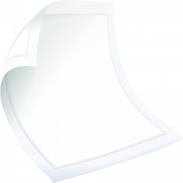 SENI Soft Basic 40 x 60 cm absorbent bed pad, 10 pcs.