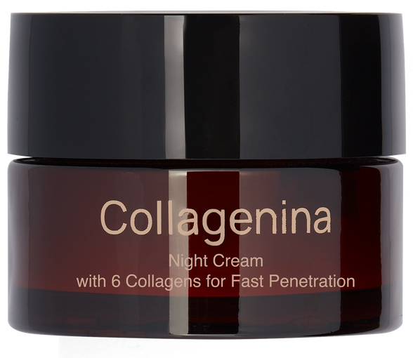 COLLAGENINA With 6 Collagens, Grade 2, Night sejas krēms, 50 ml