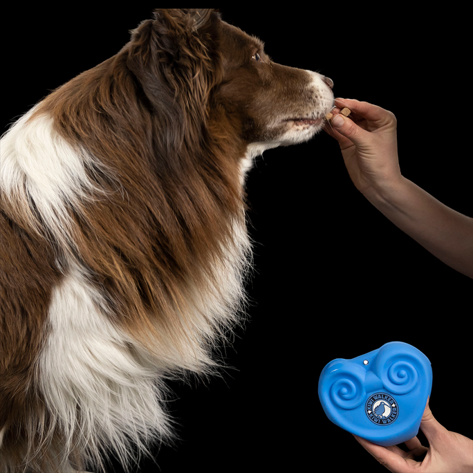 KIWI WALKER Zils, Silikona kārumu somiņa, 1 gab. - 3