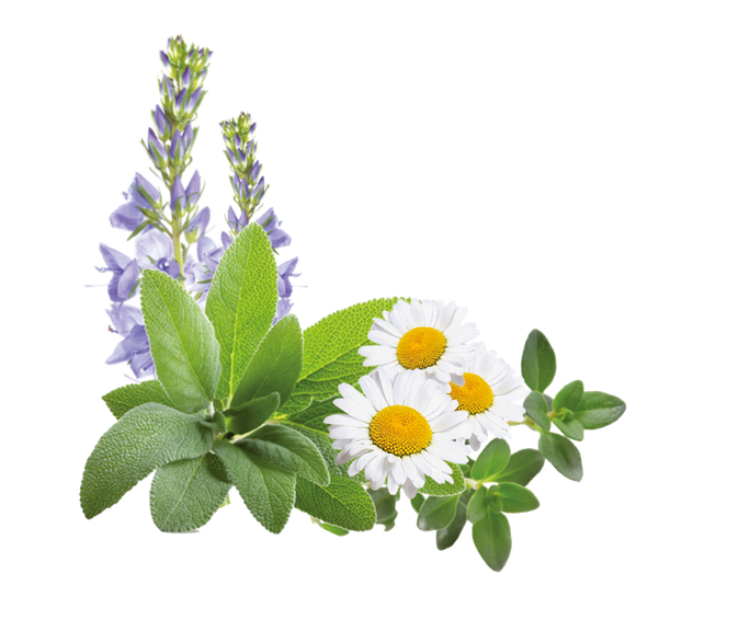 ALPENBAUER BIO Salbei-Krauter konfektes, 90 g - 2